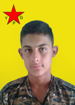 HOGIR HESEKÊ