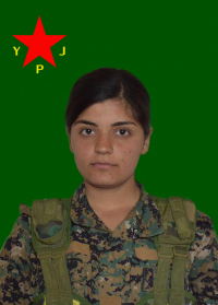 ROJBÎN KOBANÊ