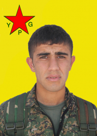 DIJWAR GOYÎ