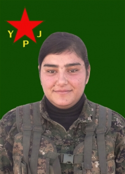 AHÎN QAMIŞLO