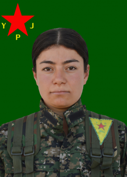 ROJDA EFRÎN