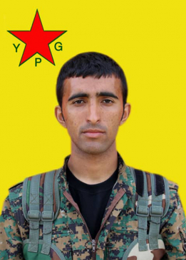 ROJVAN &Ccedil;AR&Ccedil;ELA