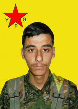 ŞEHAB HÎMO