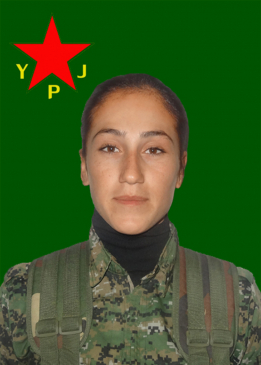 DESTÎNA QAMIŞLO