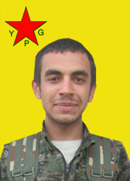 NUMAN AMED