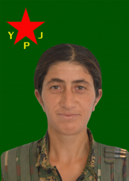 KURDISTAN SUMBUL