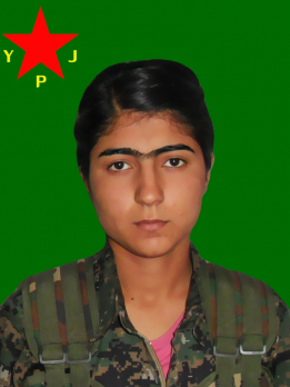 BINEVŞ BOTAN