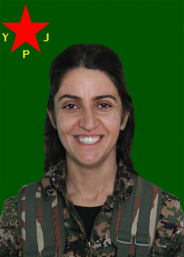 DENİZ MEDYA
