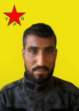 FIREWÎ ŞEDADE