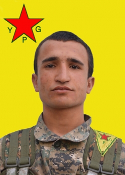 AMED QAMIŞLO