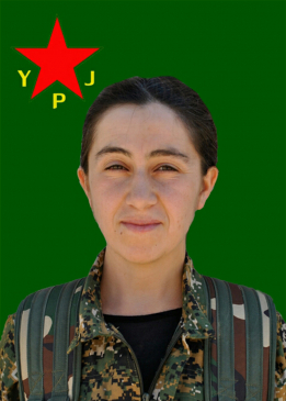 DİREN AMARGÎ