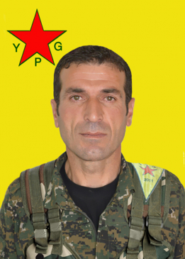 ZANA ANDOK