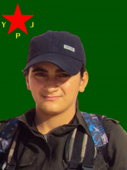 SILAV KOBANÊ