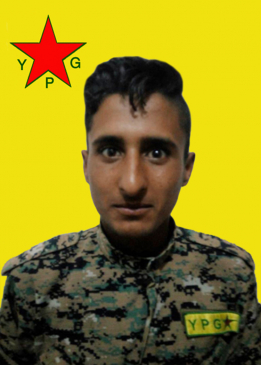 ROD&Icirc; HESEK&Ecirc;