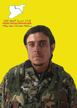 BAHOZ HESEKÊ