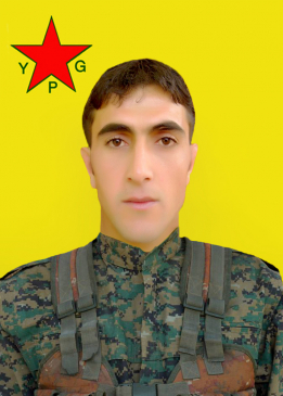 SERHED AVAŞÎN