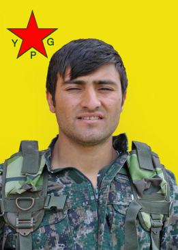 ŞERVAN ELWENDÎ