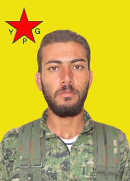 BEGDAŞ QAMIŞLO