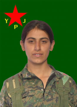 ROJB&Icirc;N AR&Icirc;N