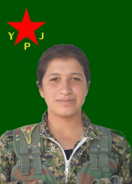 BERİTAN &Ccedil;IYA
