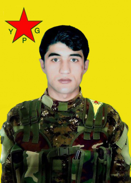 HOGIR EFRÎN