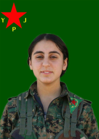 CUDÎ DILGEŞ