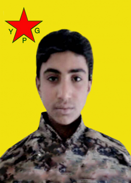 EHMED ELZAYIT