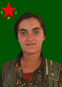 TEKOŞ&Icirc;N GEVER