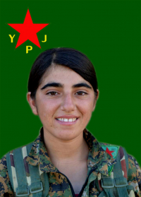 HÊVÎ PIRSUS