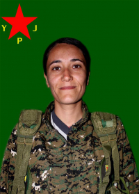 SILA HEJAR