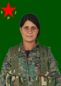 ZÎN EFRÎN