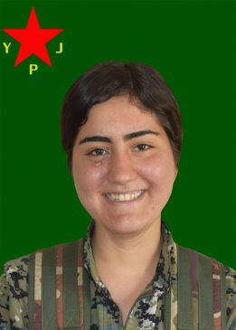 WARŞ&Icirc;N PERWER