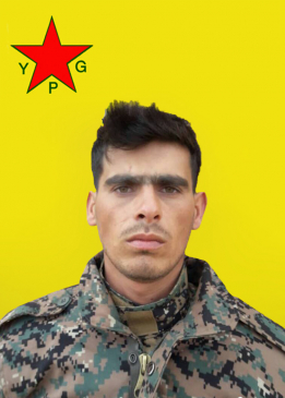 ŞERVAN TEYANÊ