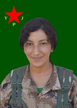 NORŞÎN QEREMOX