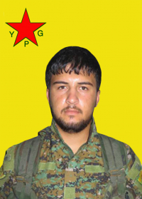 ÇEKDAR SERÊKANÎ