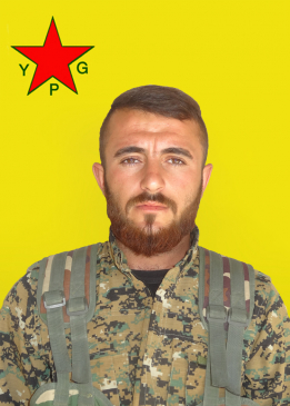 ERÎŞ QAMIŞLO