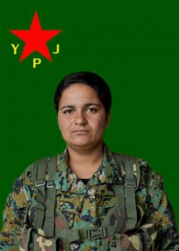 AGIRİ ZAGROS