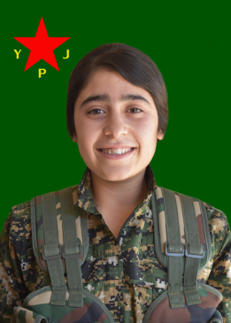 VIYAN SORAN