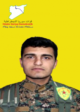 ÇEKDAR ROJ