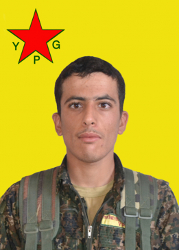 ÇEKDAR KOBANÊ
