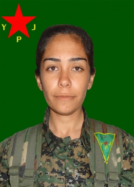 ARİN QAMIŞLO