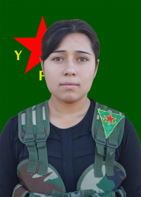 ŞÎLAN CUDÎ