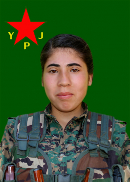 &Ccedil;AR&Ccedil;EL &Ccedil;IYA