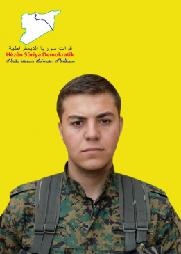 RON&Icirc; EFR&Icirc;N