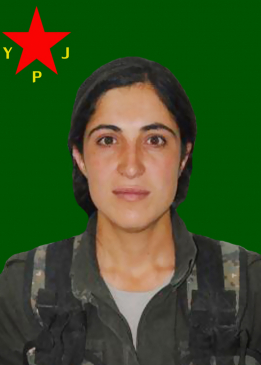 JÎNDAR DELÎLA