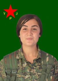 DARSÎ CUDÎ