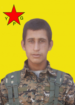 ŞAHÎN QAMIŞLO