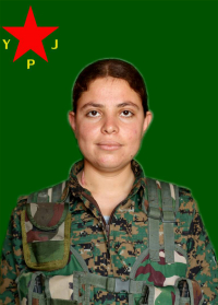 NEWROZ VIYAN