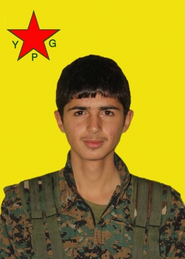 AMED BOTAN