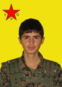 AMED BOTAN